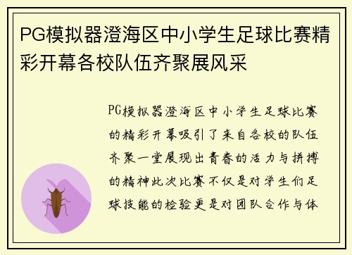PG模拟器澄海区中小学生足球比赛精彩开幕各校队伍齐聚展风采